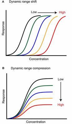 Stimulus Driven Functional Transformations in the Early Olfactory System